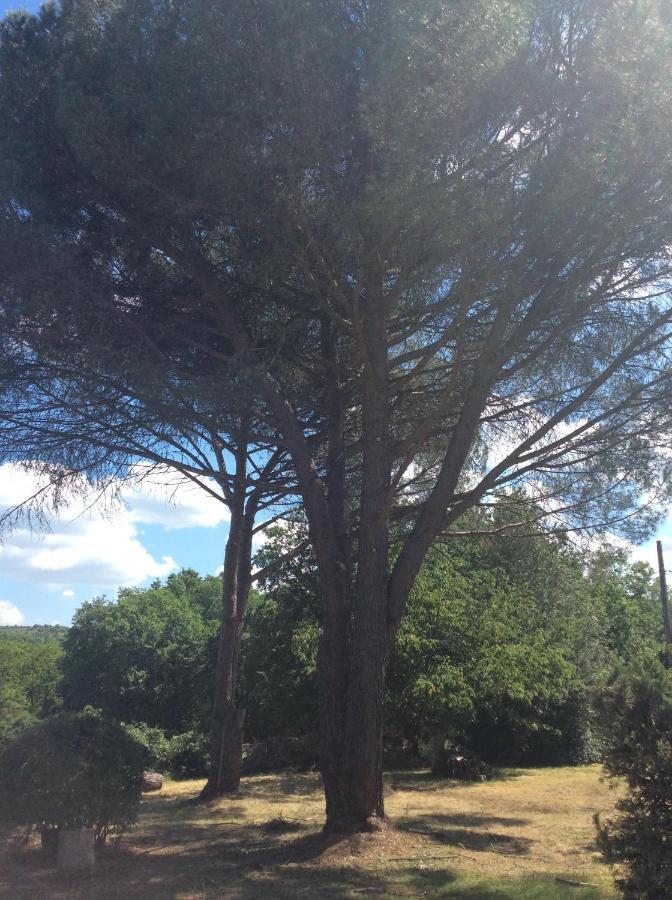 Le Jardin Du Moustoulac D'hôtes 2*