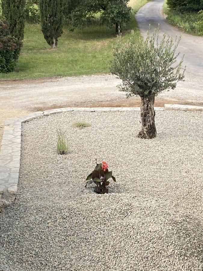 Le Jardin Du Moustoulac D'hôtes Cahors